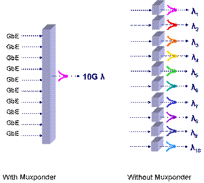 http://www.packetlight.com/_uploads/imagesgallery/10g-muxponder.png